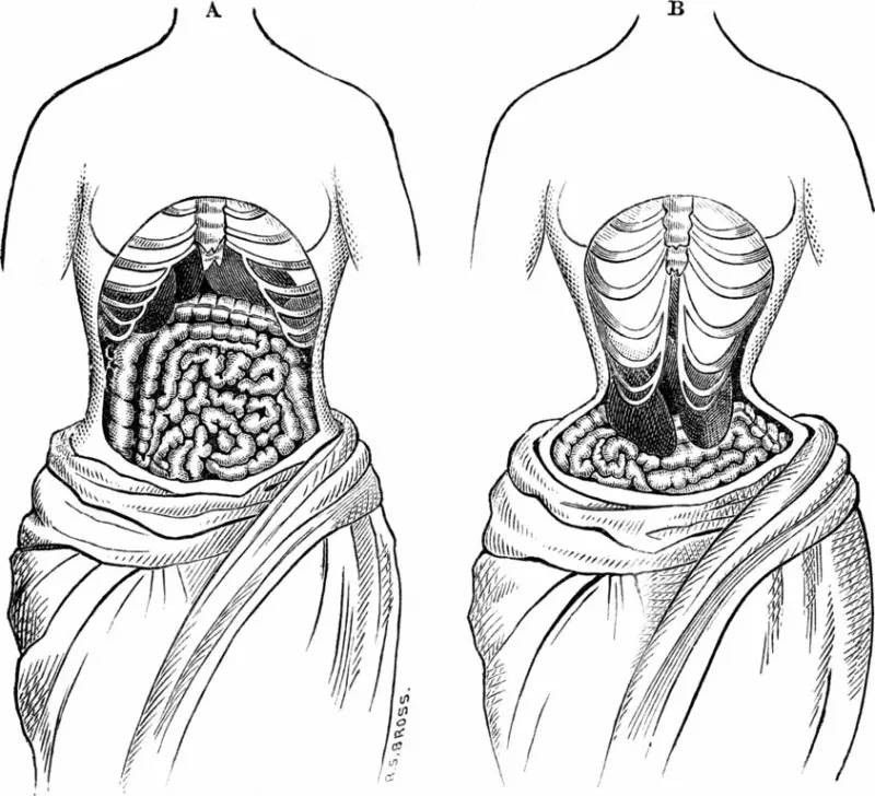 看得懂的服装史1 - 第一个服装品牌原来是这样出现的！